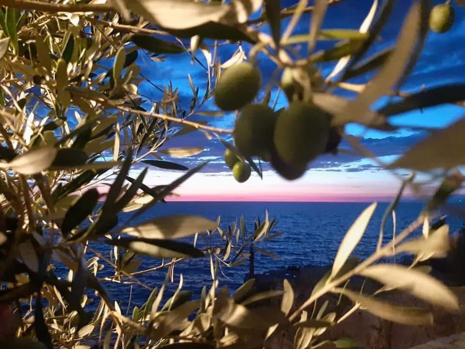 Apartments Marina Utjeha Dış mekan fotoğraf